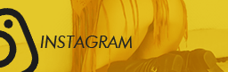 icone instagram